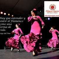 Apresentao de Flamenco na Festa do Imigrante (Museu da Imigrao SP)