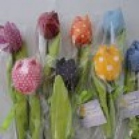 tulipas perfumadas embaladas