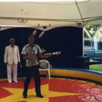 Shows Circenses