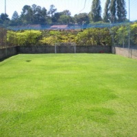 Campo de futebol gramado