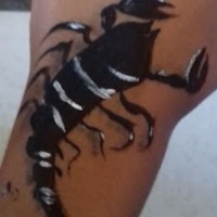 Maquiagem artística - Escorpião