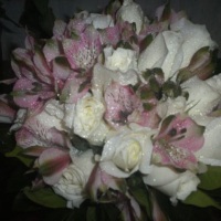 Buqu de Rosas Brancas e austromelias rosas