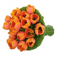 buquet de tulipa laranja