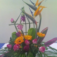 Arranjo Floral