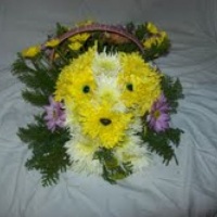 Poodle arte floral feito com flor do campo em cesta de vime.