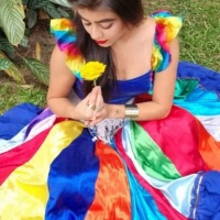 Apresenta��o de Dan�a do Ventre - Festa de Santa Sara Kali.