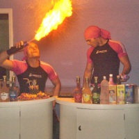 animando a festa