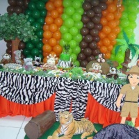 festa Safari