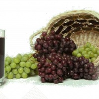 suco de uva integral 100% natural