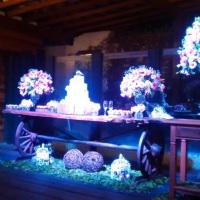 Luz Decorativa para Casamentos, em Fazenda Bela Vista.