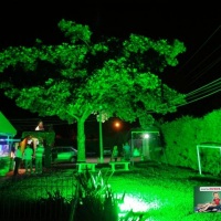 Ilumina��o arquitetural em �rvores