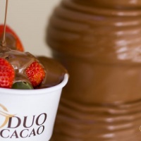 Na Duo Cacao voc decide qual o melhor cardpio para sua Cascata de Chocolate. So quatro cardpios