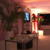 Estrutura de Camarotes VIP