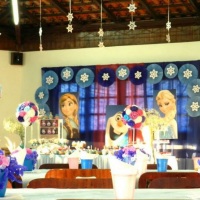 Decorao frozen