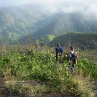 Caminhada no Pico do Cruzeiro