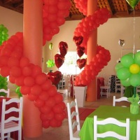 sal�o decorado festa anivers�rio