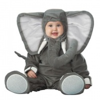 elefante