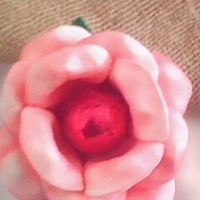 Porta docinhos ou bombons