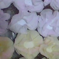 Porta docinhos ou bombons