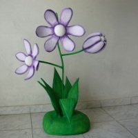 Flores