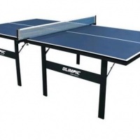 T�nis de mesa (ping pong)