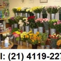 Floricultura so gonalo (21) 3710-5243