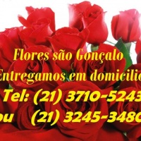 flores são gonçalo