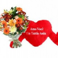 mensagem ao vivo são gonçalo