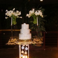 Fraternit� Eventos - Bolo Maquete 
