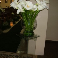 Fraternit� Eventos - Copo de leite