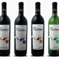 VINHOS VARIETAIS TERRAS R$ 22,99