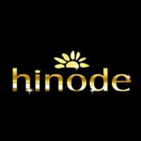 https://online.hinode.com.br/771698
