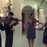 4 violinos