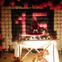 Festa 15 anos
