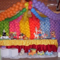 Festa Circo