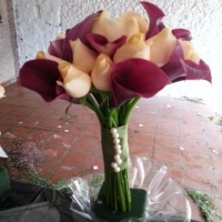 Bouquet feito com Rosas pssego com Callas Vinho.
