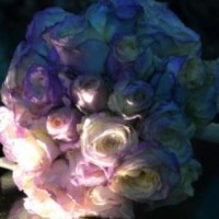 bouquet de noivas