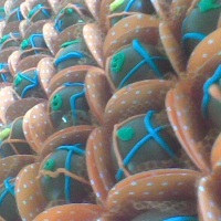mini trufas festas r$50