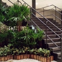 Jardim com plantas naturais para eventos