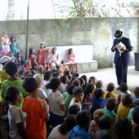 Covinha, a coelha mgica