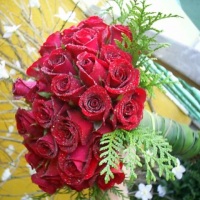 Bouquet rosas vermelhas