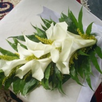 Bouquet copo de leite e tango