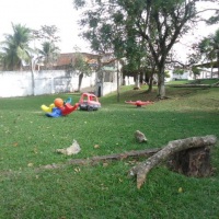 area do voley