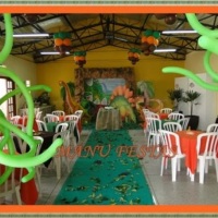Festa Tem�tica Pe�as de ch�o