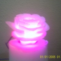 Rosa luminosa rgb para decorao