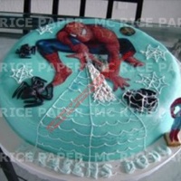 HOMEM ARANHA