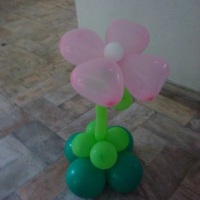 Trevinho rosa - Jardim