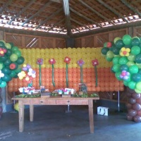 Festa jardim 1