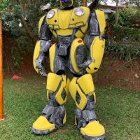 Bumblebee  Robozo  transformers