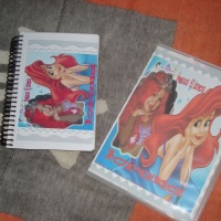 ANIV. INFANTIL DVDS E MINI ALBUM COM 40 FOTOS 10X15....